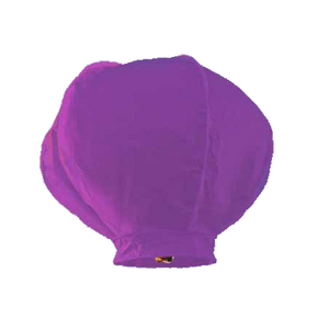 paarse wensballonnen kopen