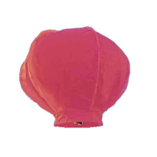 wensballon roze kopen